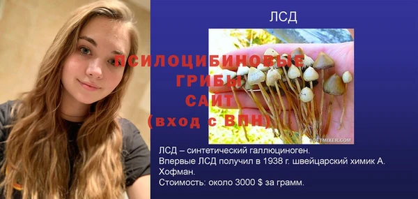 прущие грибы Михайловка